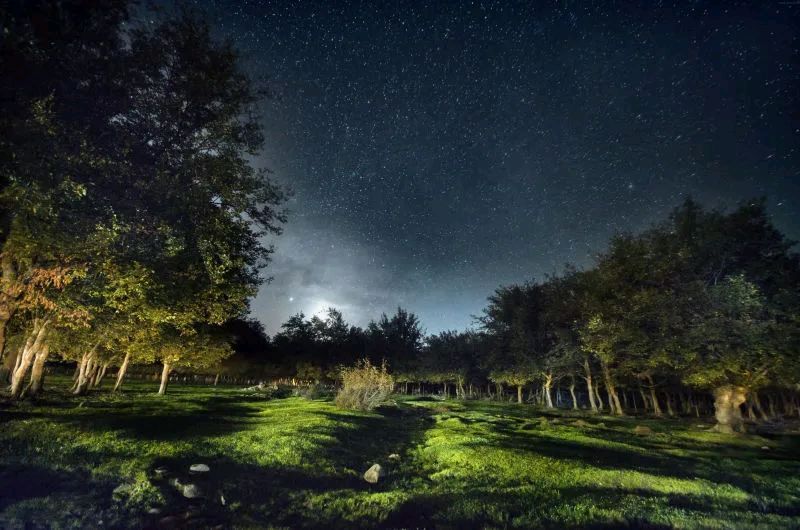 《秋夜叹凉》《运河晨景》《秋夜思乡》文/云岚（图5）