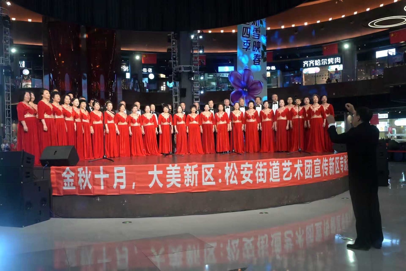 哈尔滨新区松安艺术团金秋十月再放异彩,作者阳光(图6)