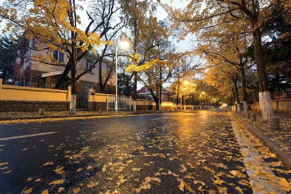 微信图片_20251013091940_811_262 微信图片_20251013091940_811_262