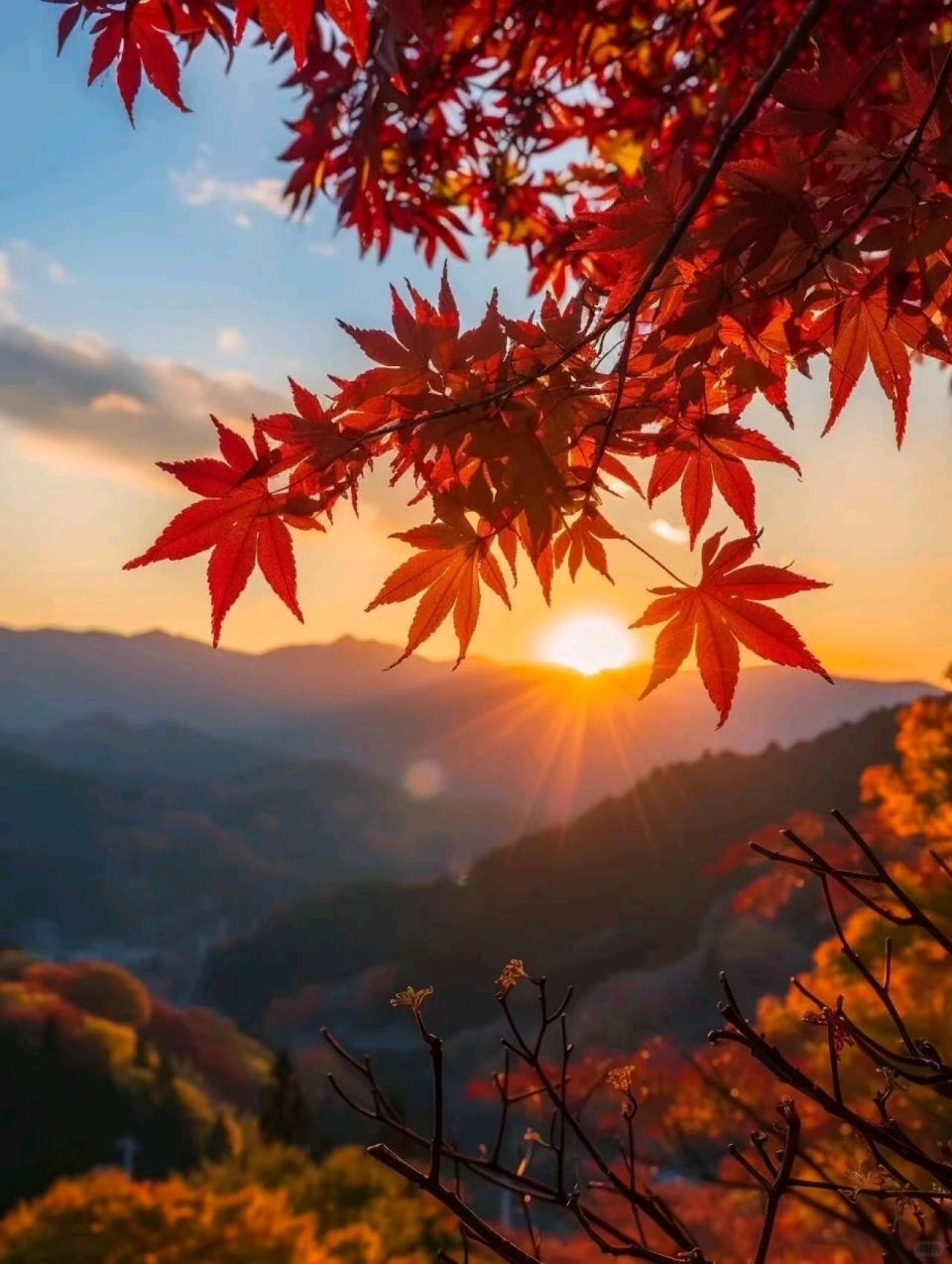 【风雅韵社】吟秋五言诗文/李咸化(山东济南)（图3）