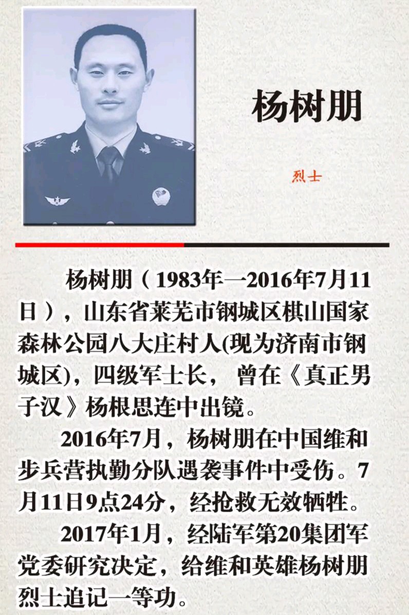 【散文】《铁血忠魂与烟火守望: 记烈士杨树朋与他的家国》作者:强军/陕西宝鸡（图9）