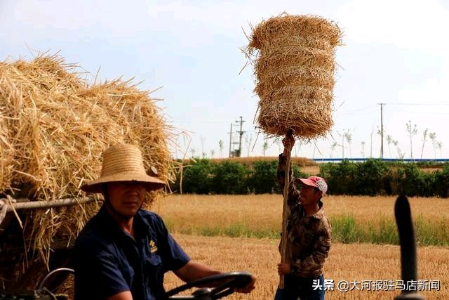 【荣耀中国】咏菊李海洋（图5）
