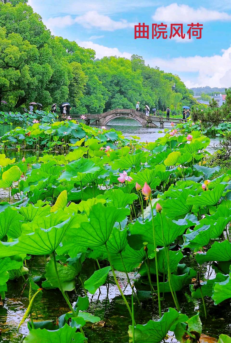 再游西湖十景～诗◑李耀文（图26）