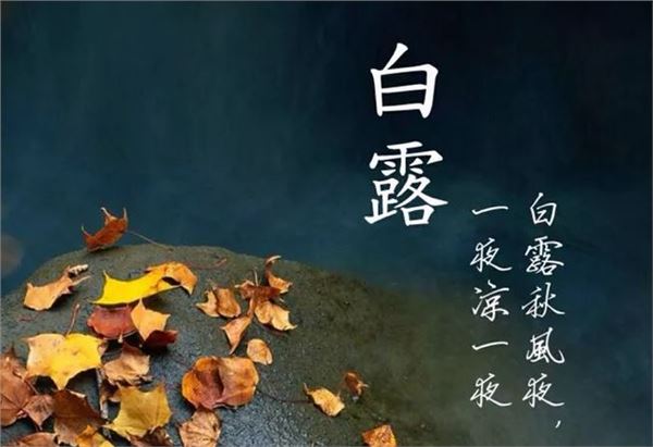 【荣耀中国】请欣赏优秀诗人骆海华诗词专辑（图5）