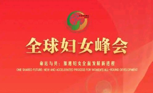 【时事评论】《从承诺到行动: 北京三十年引领全球妇女事业的历史演进与未来展望》特约评论员: 韦民(图5)