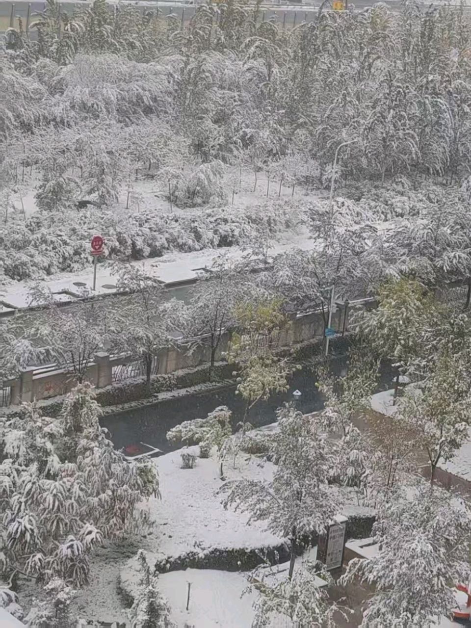 【故道文化·古风·7466】孙庆玉《飘雪随感》（图5）