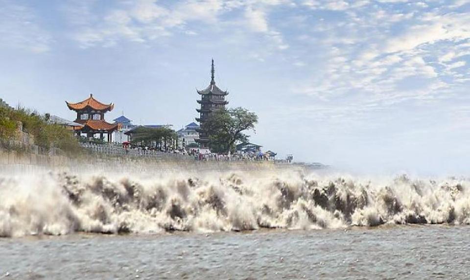 微信图片_20251015190634_829_262 微信图片_20251015190634_829_262