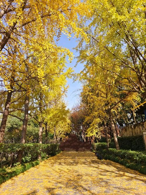 门前这条河 作者/欲鸣 主播/陈丽娟（图2）