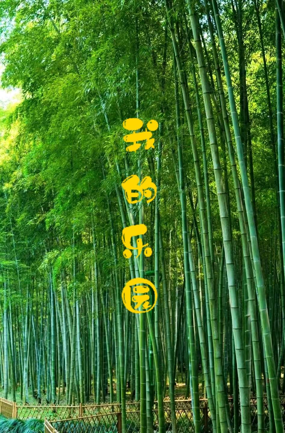 我的乐园～作者◑黄羽瑶～导师◑魏兴付（图10）