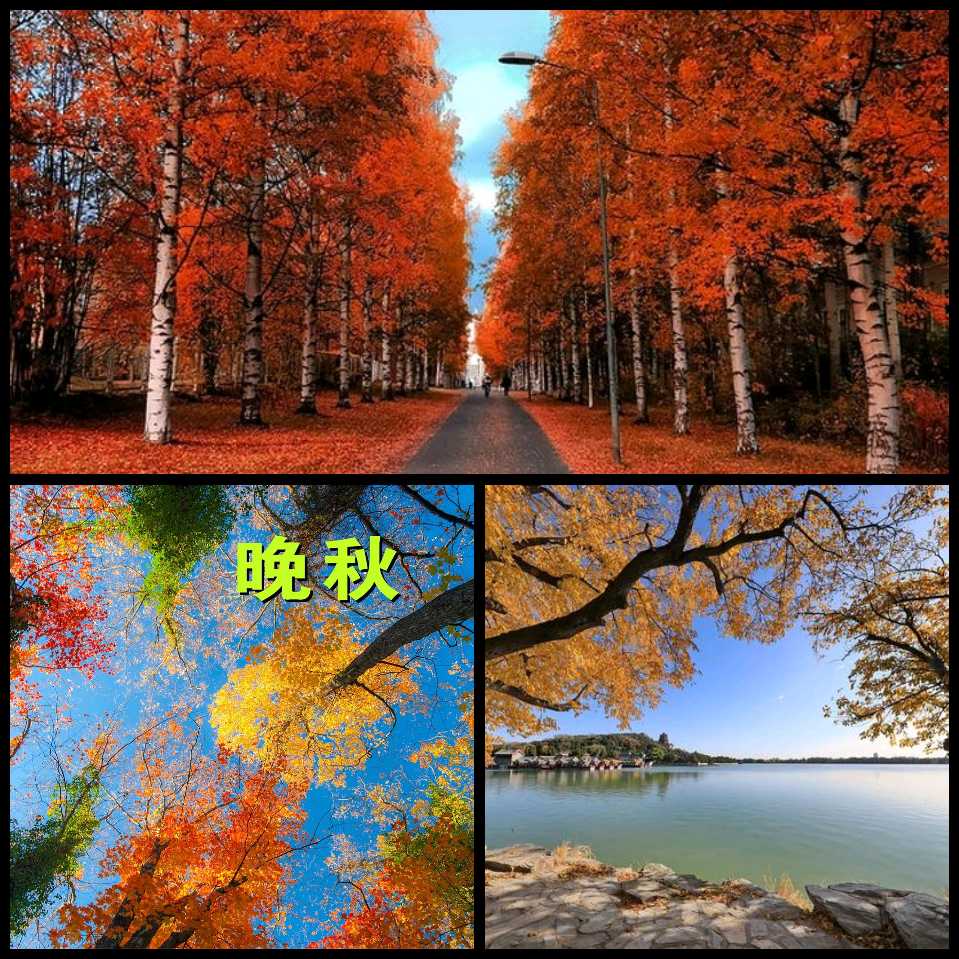 【晚秋抒怀】潘启剑//家园晚秋（图4）