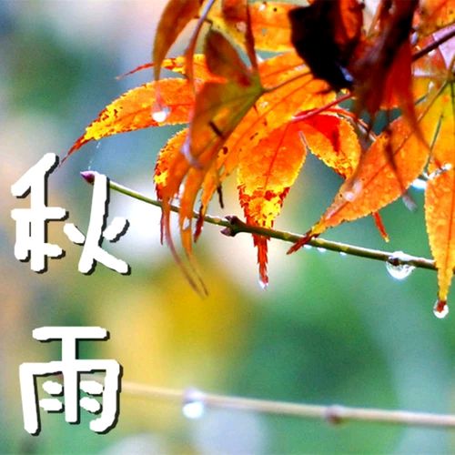 【新山东文学社】《秋雨秋风惹秋情(十二首)》作者/剑如虹 主播/天空(图4)