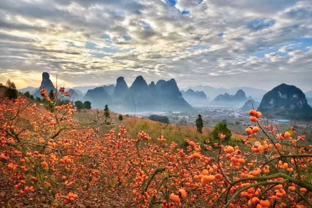 【荣耀中国】七绝.悼扬振宁院士 李德政（安康）（图7）