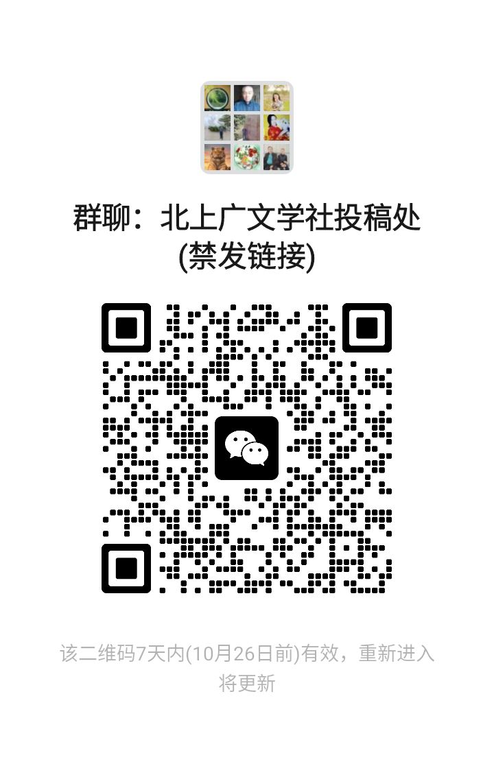 【盼江红·盼统一】文/杨政武(图12)