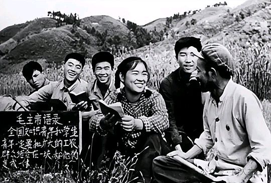 说说上山下乡那些陈芝麻烂谷子/作者:张洪生(图4)