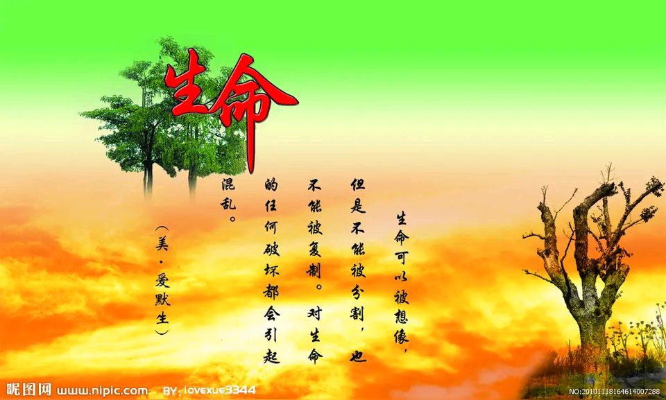 孙述考、王保江文三篇……莲叶之珠文学社(图3)
