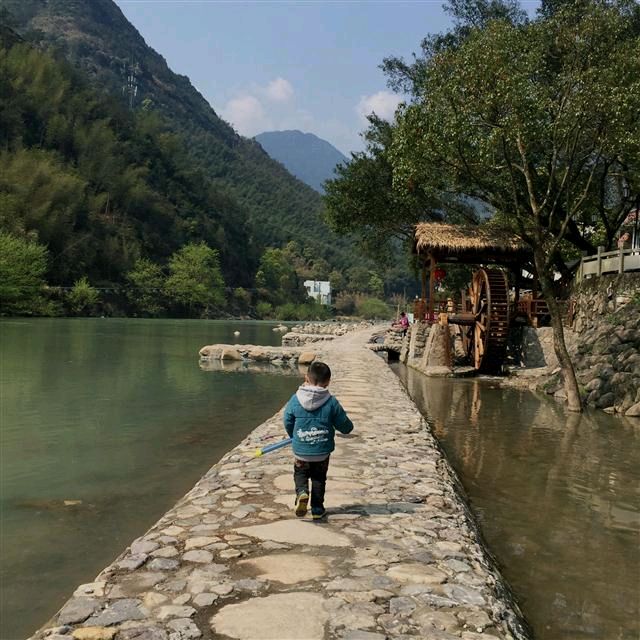 【荣耀中国】小山村徐贤（上海）（图5）