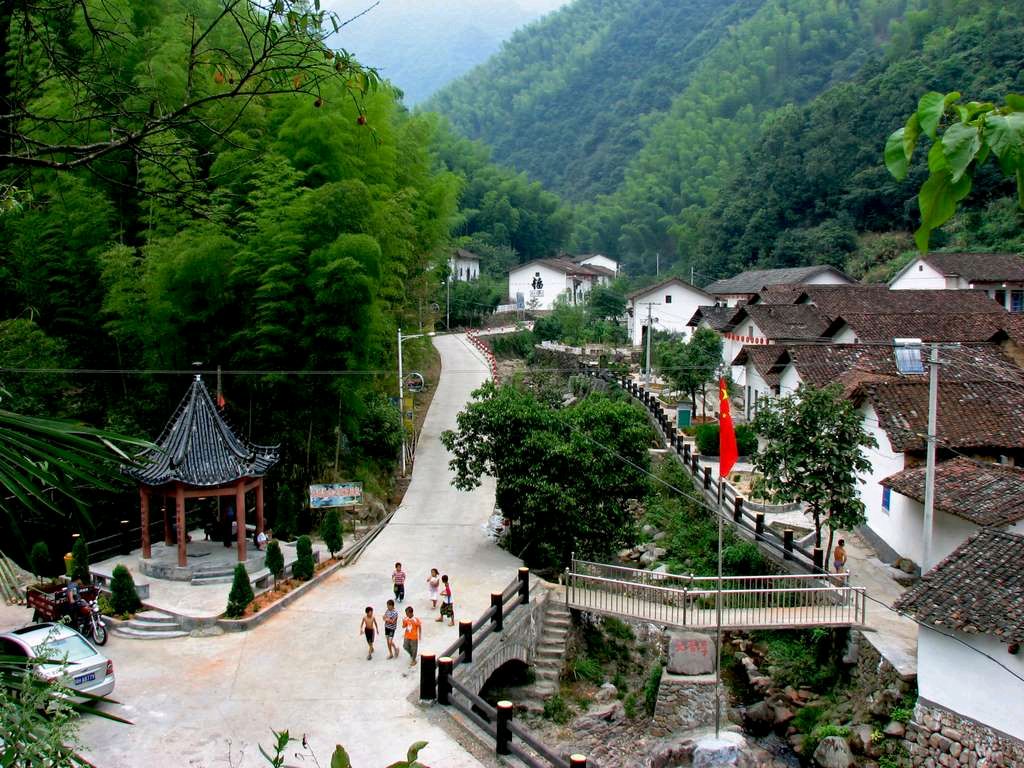 【荣耀中国】小山村徐贤（上海）（图3）