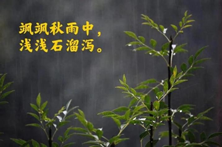 【经典推荐】昨夜天//秋雨秋窗 秋风弥漫中想你（图6）