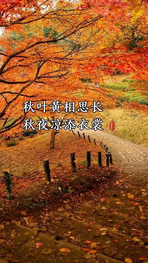 【经典推荐】昨夜天//秋雨秋窗 秋风弥漫中想你（图5）
