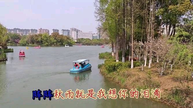 【经典推荐】昨夜天//秋雨秋窗 秋风弥漫中想你（图4）
