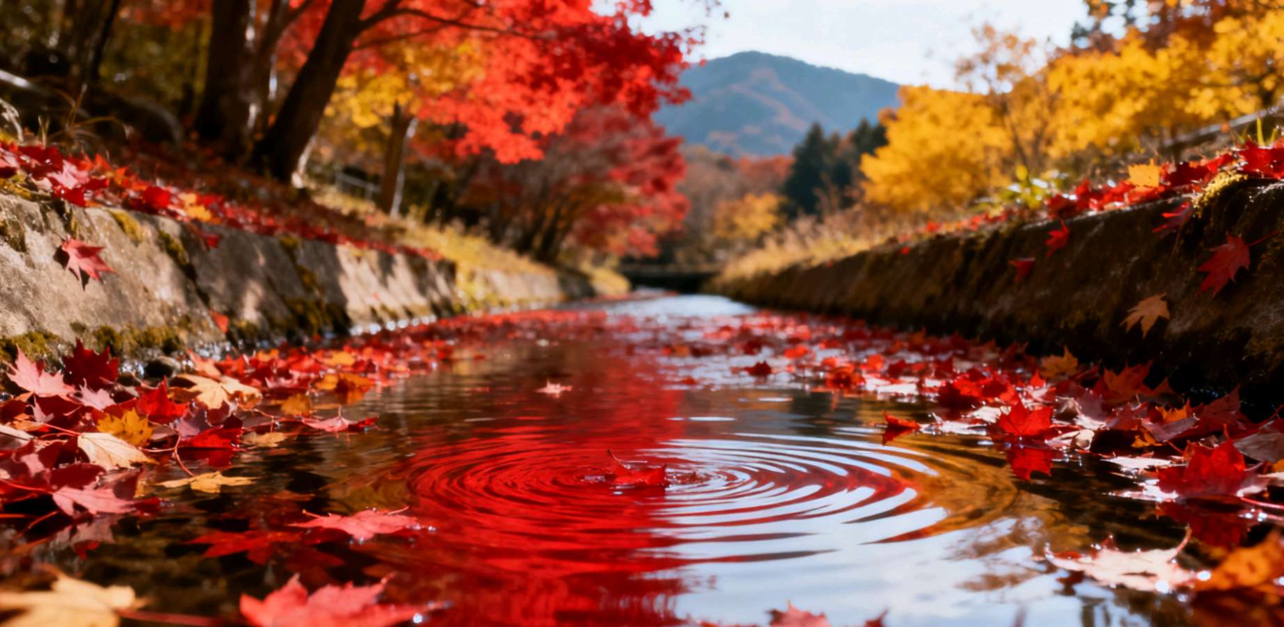 【荣耀中国】水龙吟·稻丰登（苏轼休）吴印顺（江西）（图5）