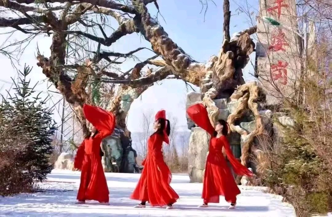 【荣耀中国】鹧鸪天•秋游千姿岗韦振宇（临洮）（图4）