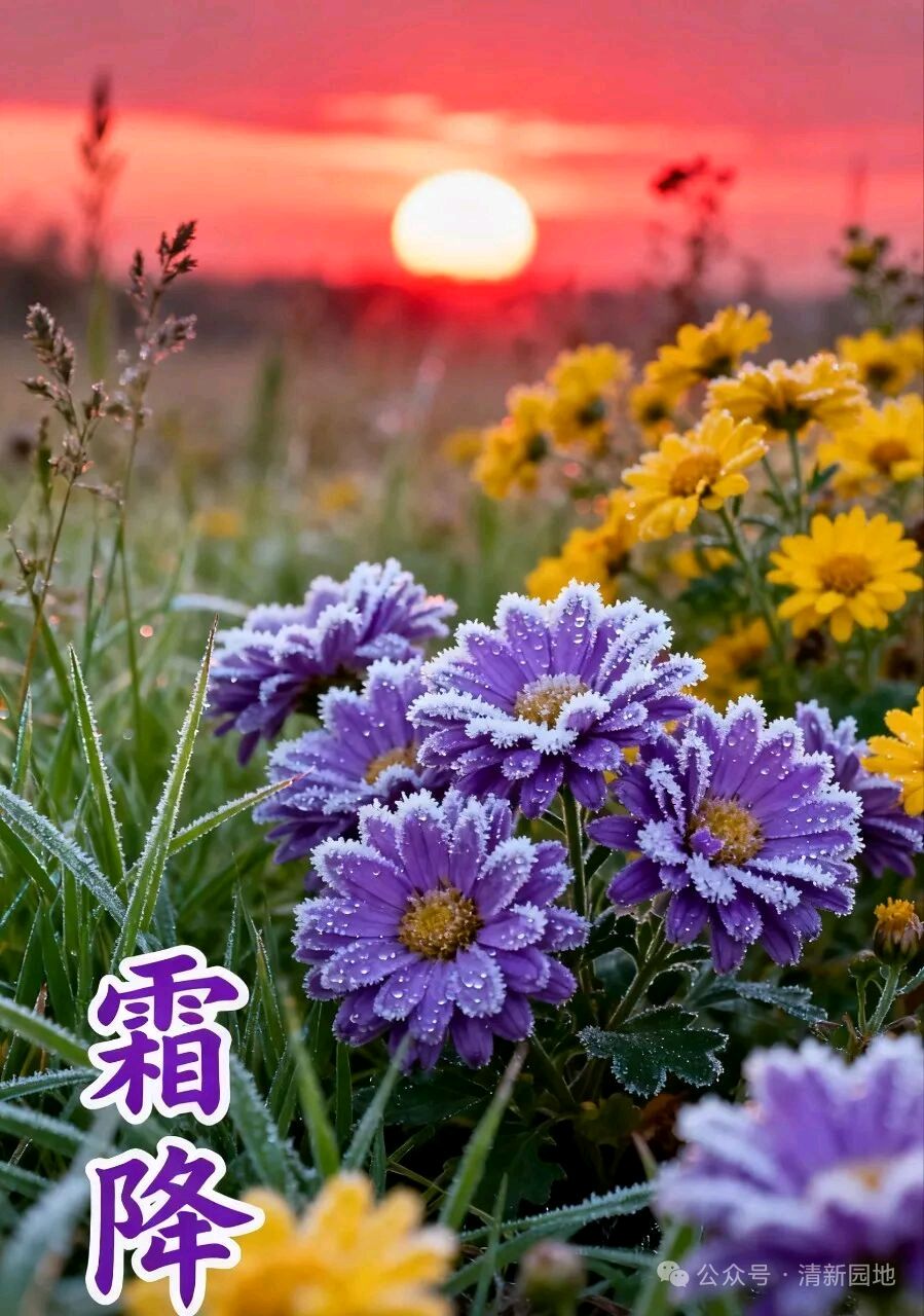 霜降偶成 金夜（兰州）（图4）