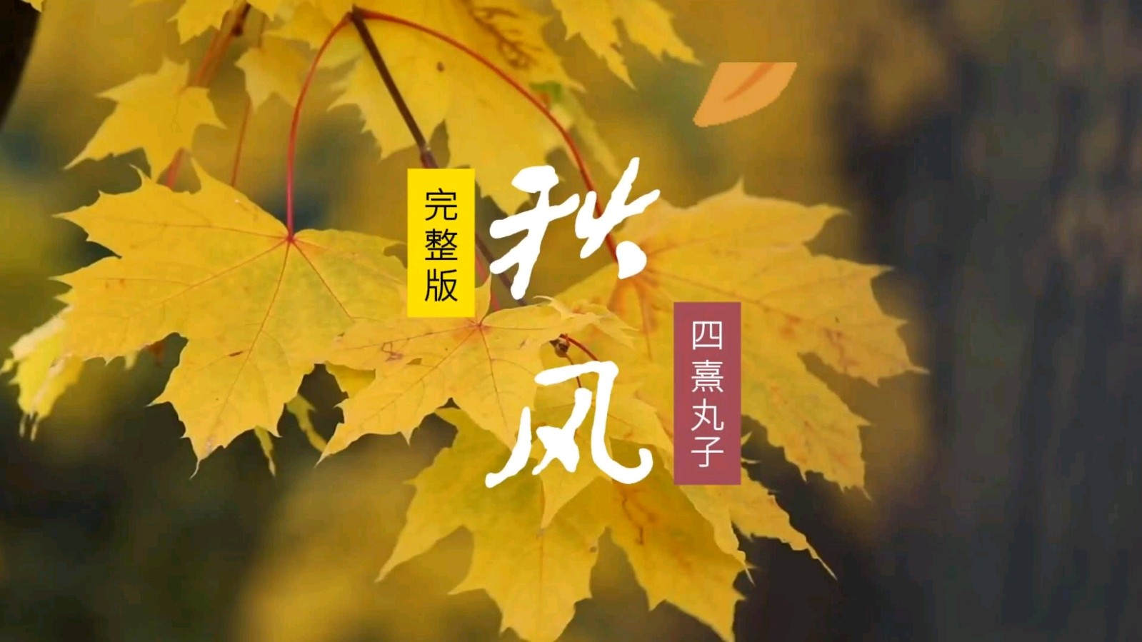 【神州源流诗苑】第1421期优秀近体诗周刊(图7)