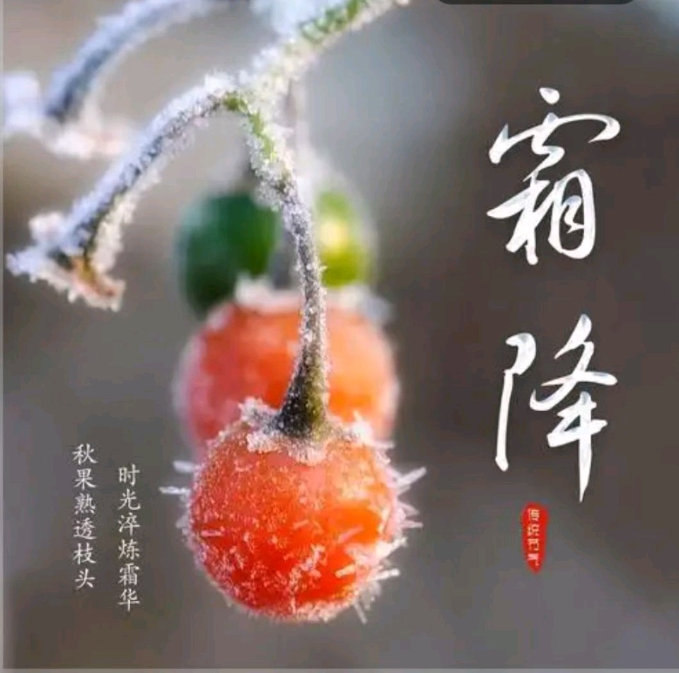 【荣耀中国】霜降诗词文/严宗碧（图9）