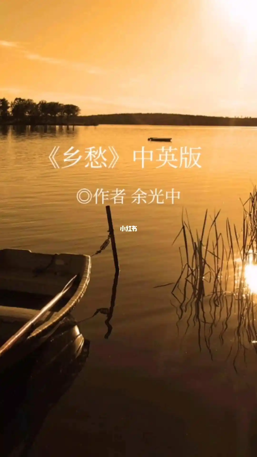昌平朗诵艺术协会 ‖ 同题诵读《乡愁》作者/余光中 朗诵/昌平朗诵艺术协会会员（图40）