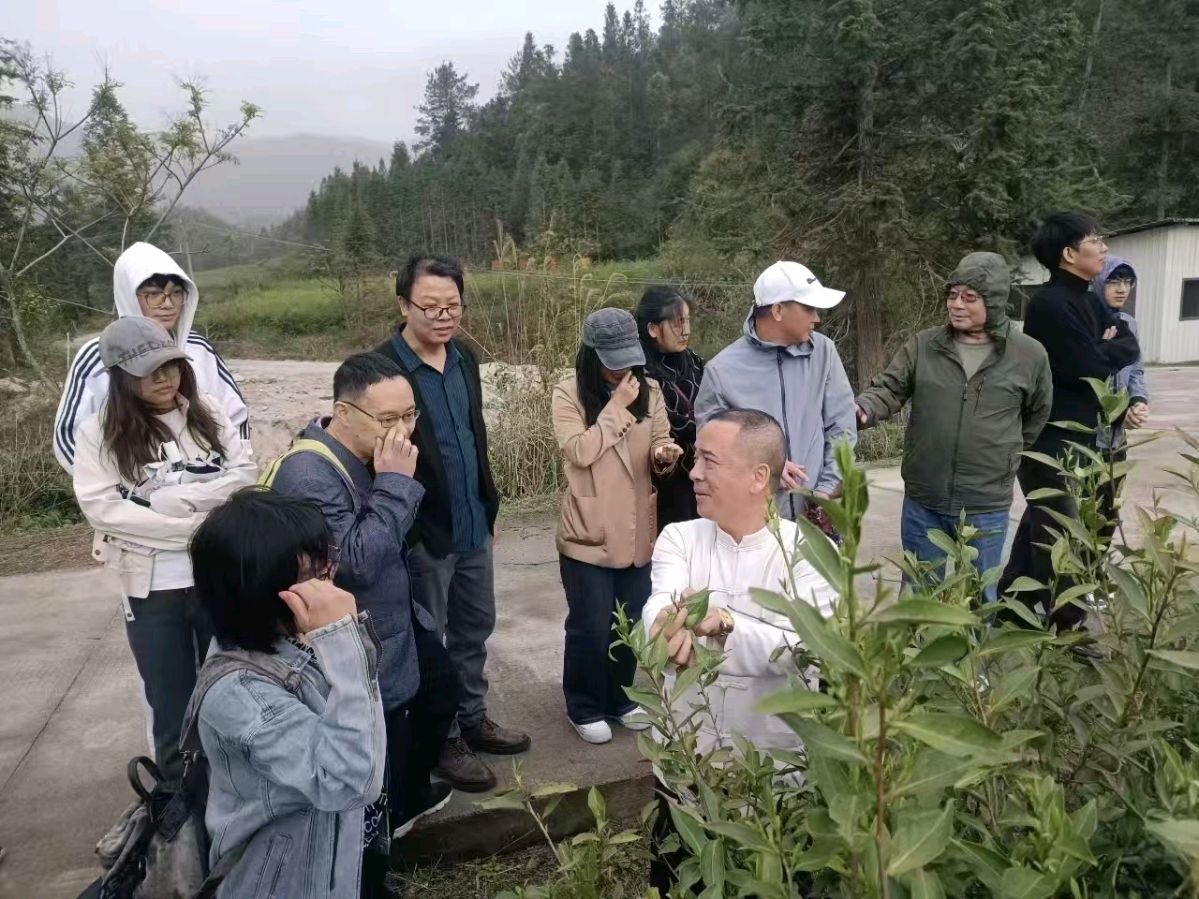 茶仙谷采风掠影