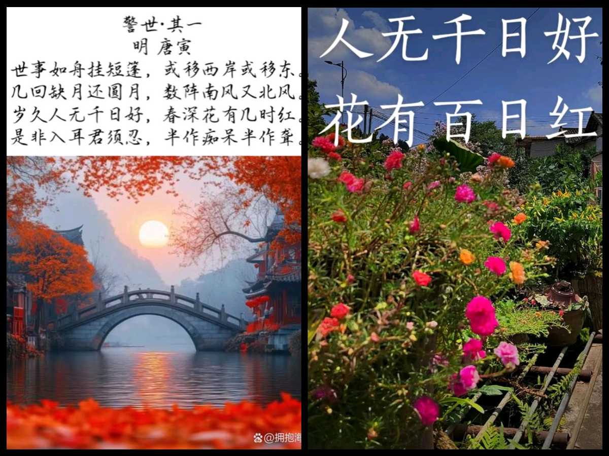 【经典推荐】“农民诗人”曹南强//淡泊人生[外十首欣赏]（图4）