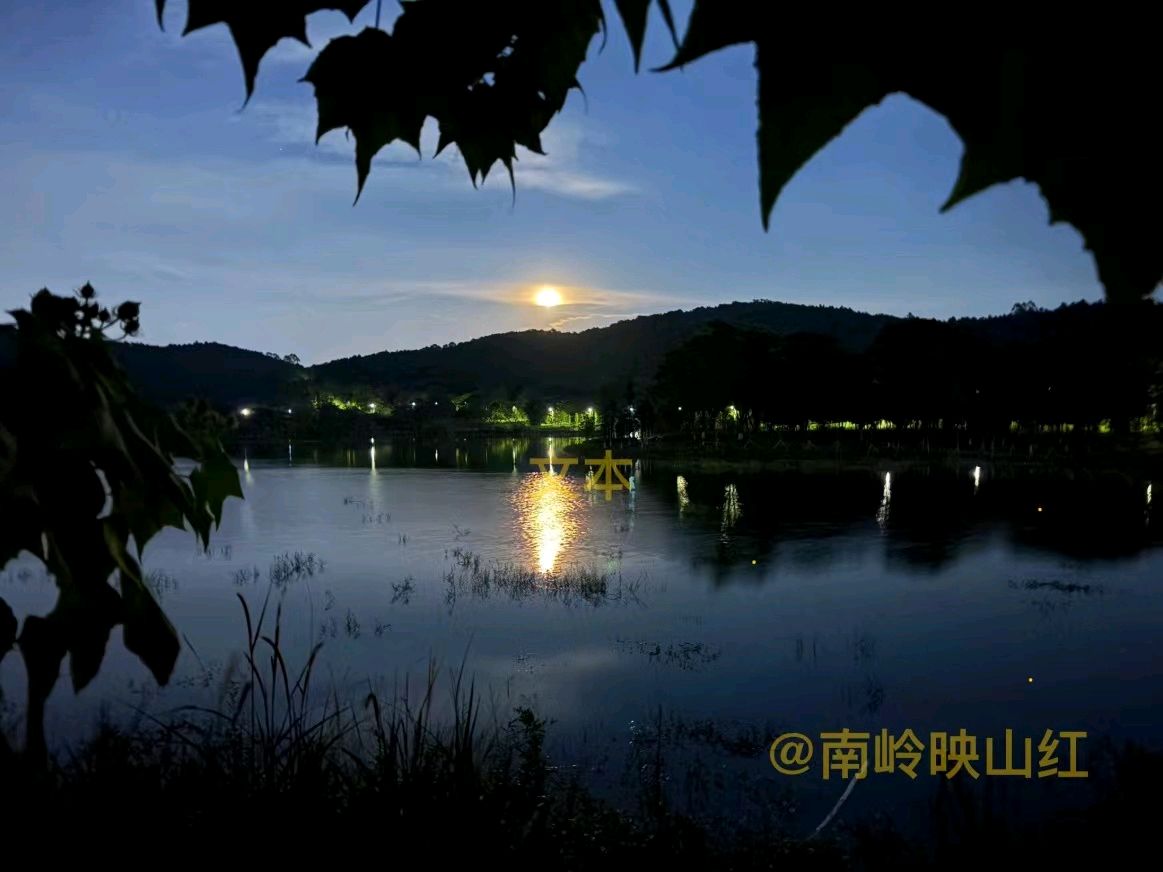 我记忆深处的月光光