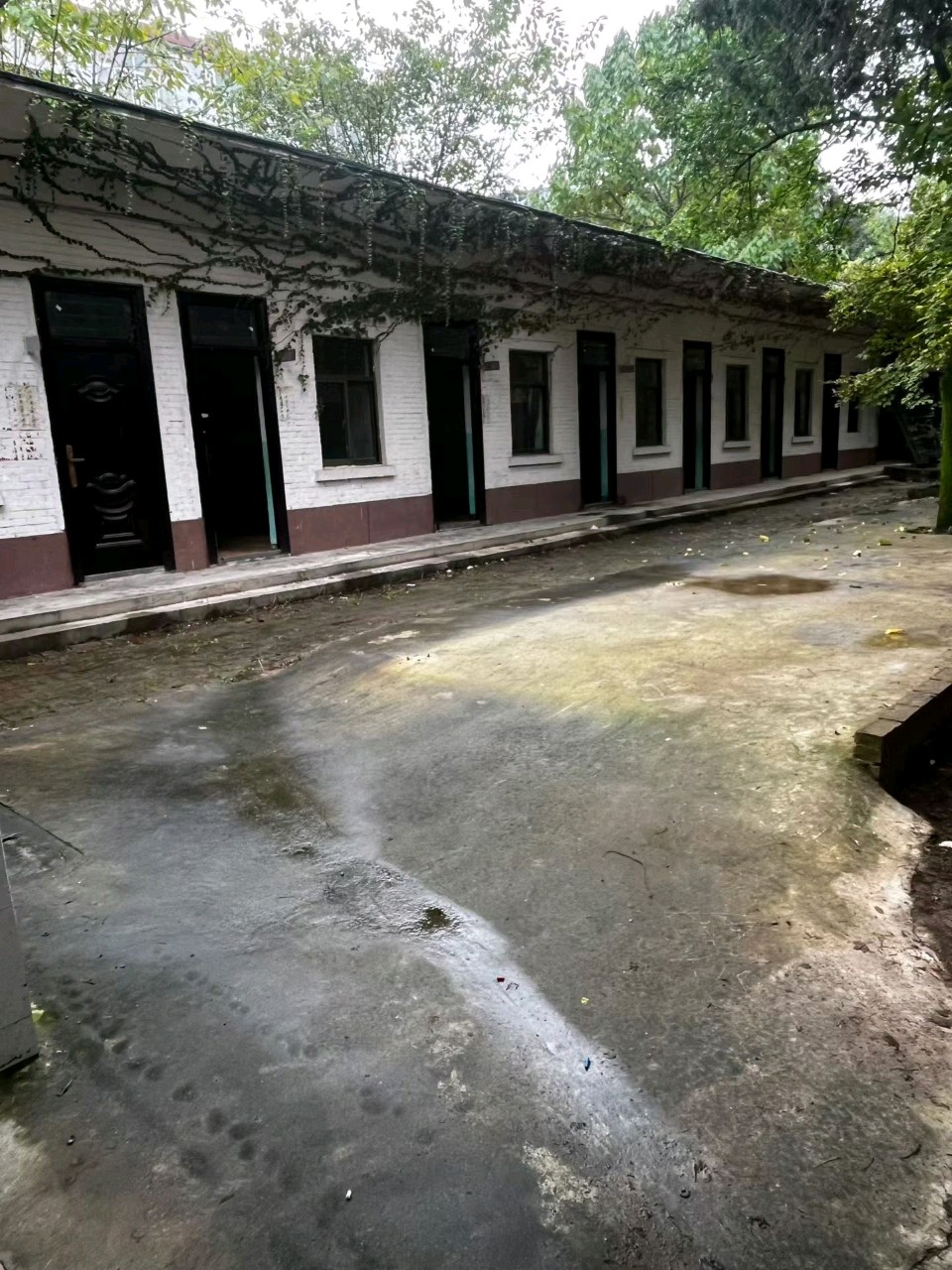 袁雅婷//四十年前的影像追忆（图8）