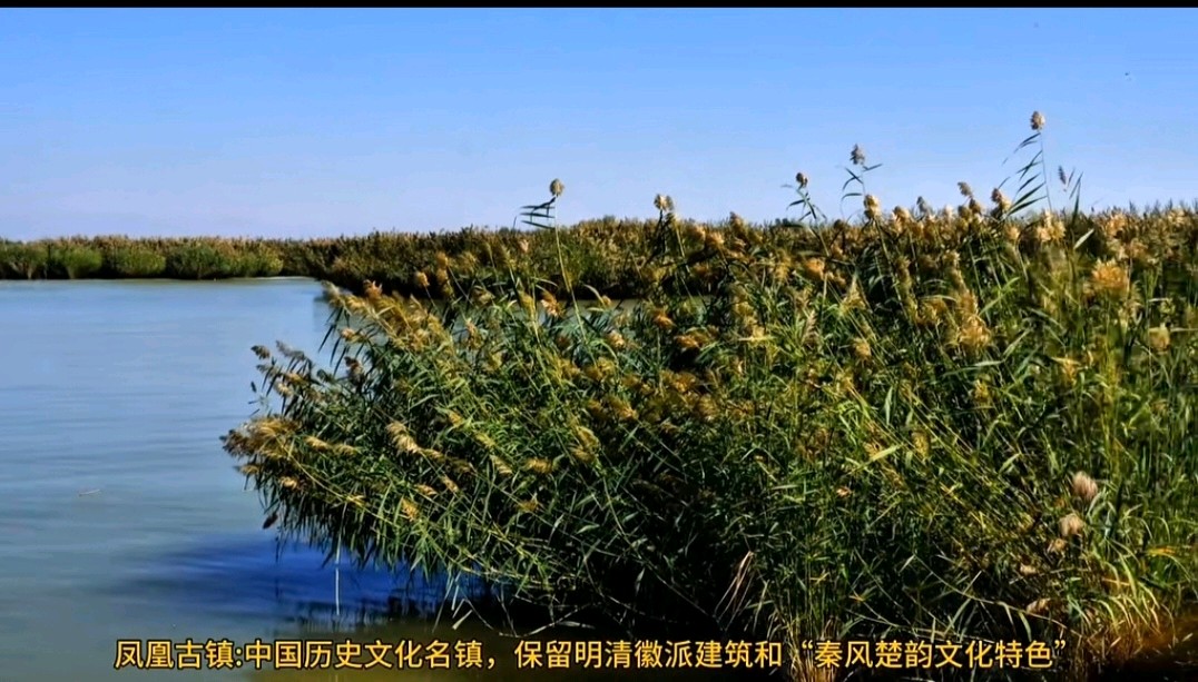 赵旭东（長民）//第二故乡柞水县的时光照片（图58）