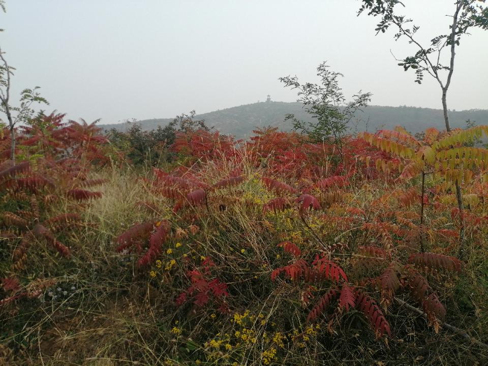 唐尧古镇·庆都山（图13）