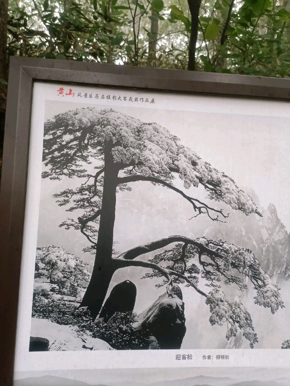 李以民老师精彩绝句暨其书法佳作与君共赏（图7）
