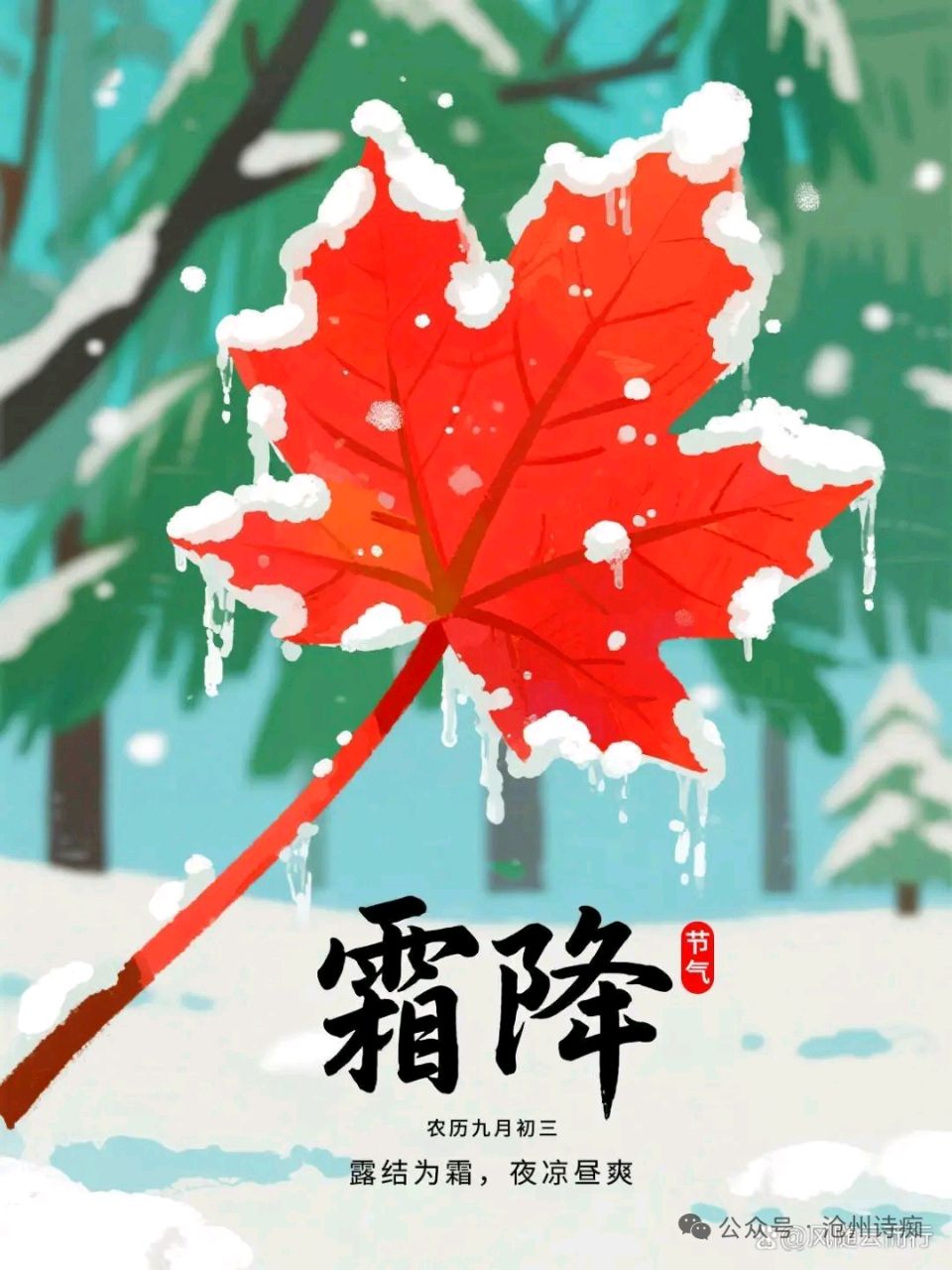 【都市头条向幸福出发编辑部】第14317期 霜降 作者 如月 主播 玥言（图3）