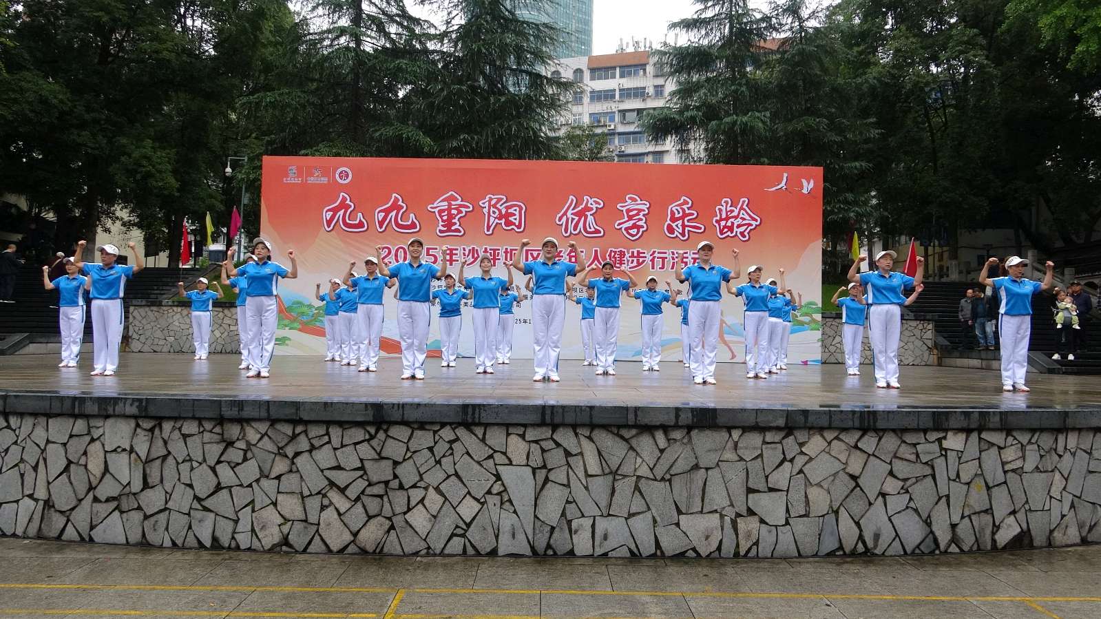 天陈路社区欢乐健队闪亮重庆市沙坪坝区“九九重阳 优享乐年”老年人健步行活动现场（图8）