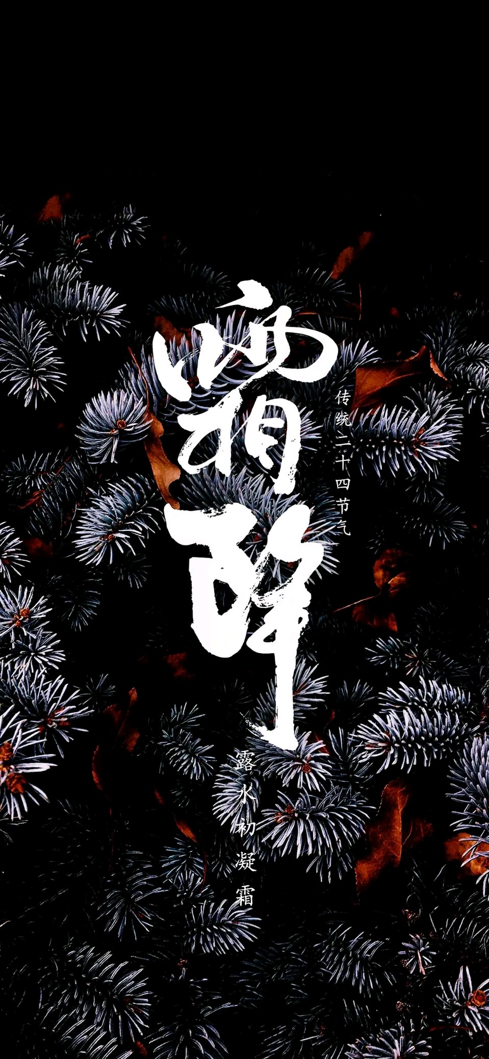 王富保老师精彩诗词与君共赏（图6）