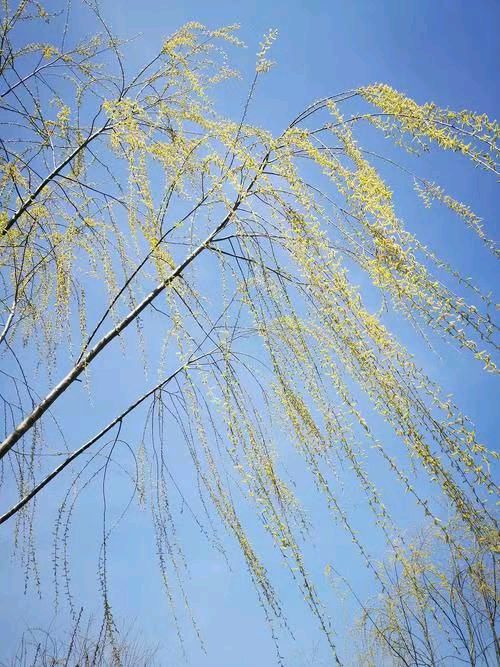 《电梯的片刻 》文/——名家作品田彬（图2）