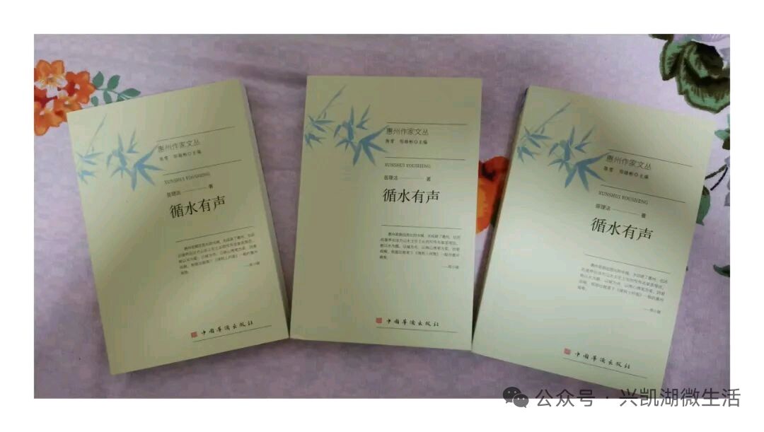 【新闻】苗理洁开讲“千年古循州” ——以“水系列”著作为媒 描绘本土“锦绣风情画”/王夫（图6）