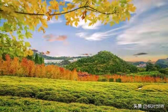 《著名当代诗人刘文波当代古诗七律，三首》作者：刘文波 [中国现代诗歌文化传媒推荐]（图5）