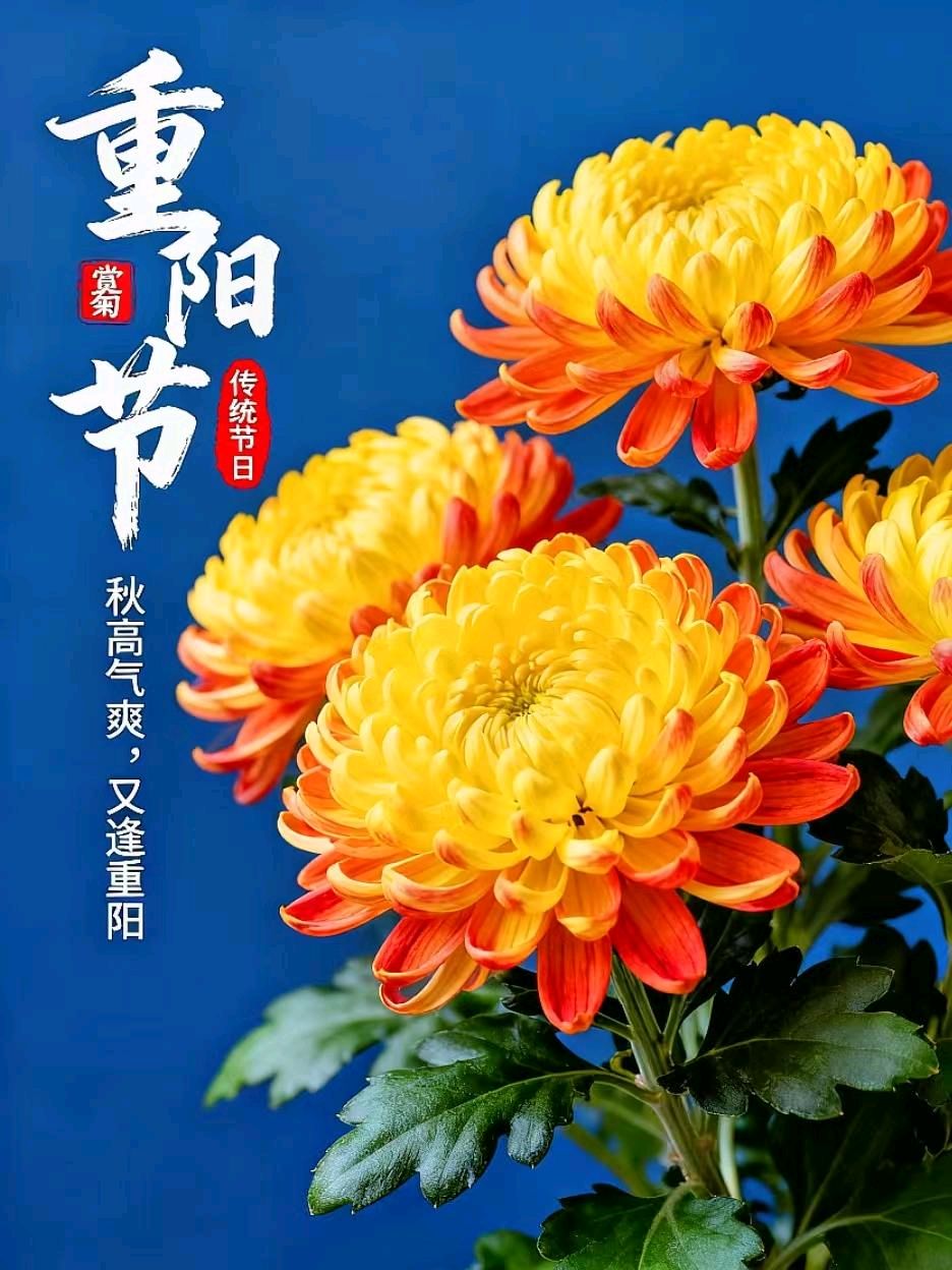 七律-重阳寄怀～诗◑柳洪（图16）