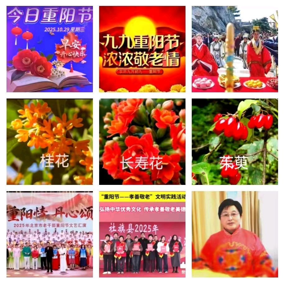 秋雨选编『格律诗词•咏重阳节八首（新韵）专刊鉴赏
