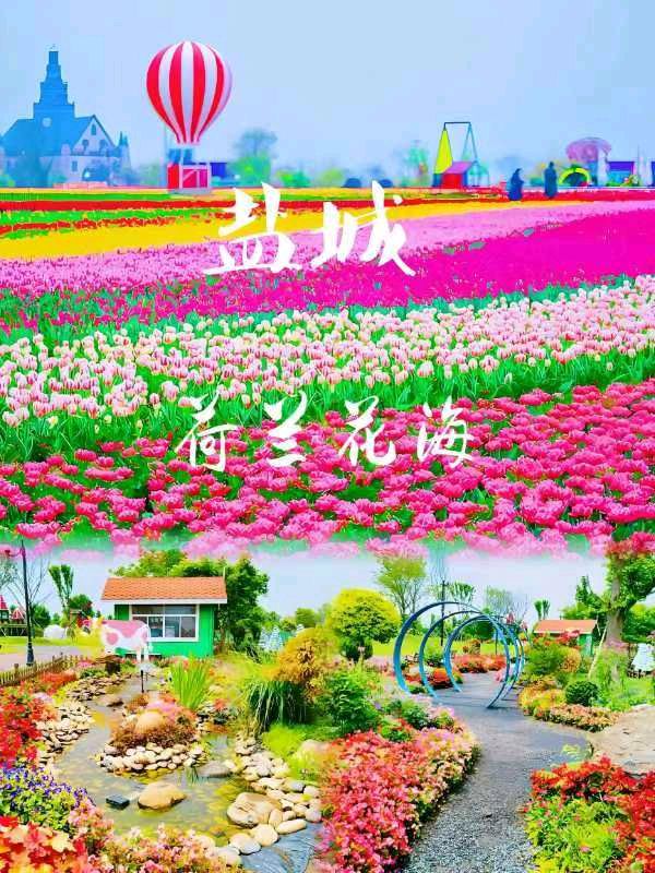 【荣耀中国】深圳分社周刊第52期(图6)