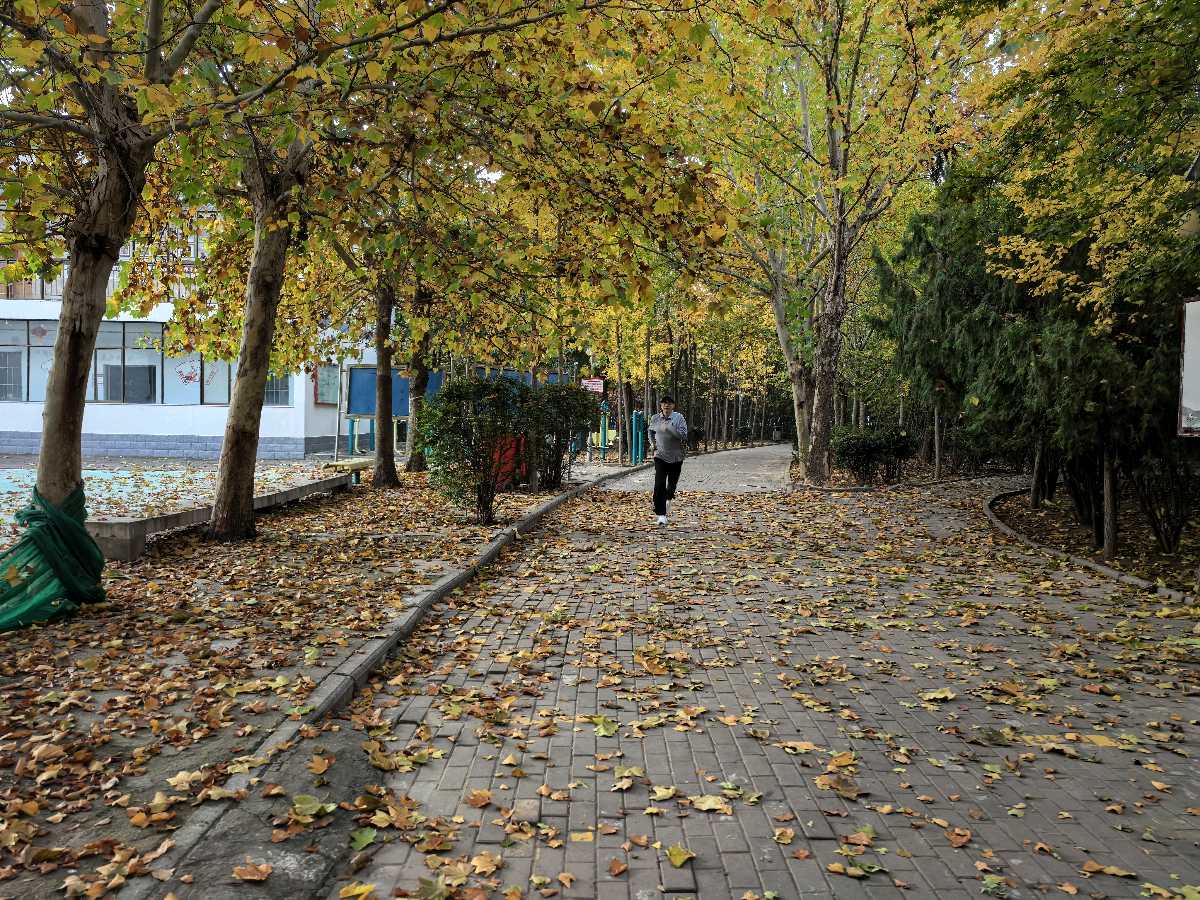 晨跑在课改的赛道上——郑州康师傅公园有感