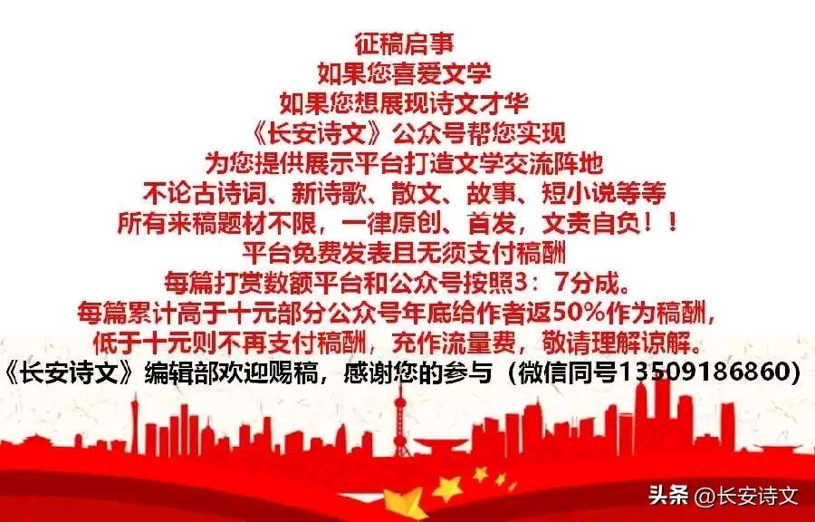 【长安诗文•美诗美评】白卫民：角落/冬天的落叶||诗评：谢雷（图6）