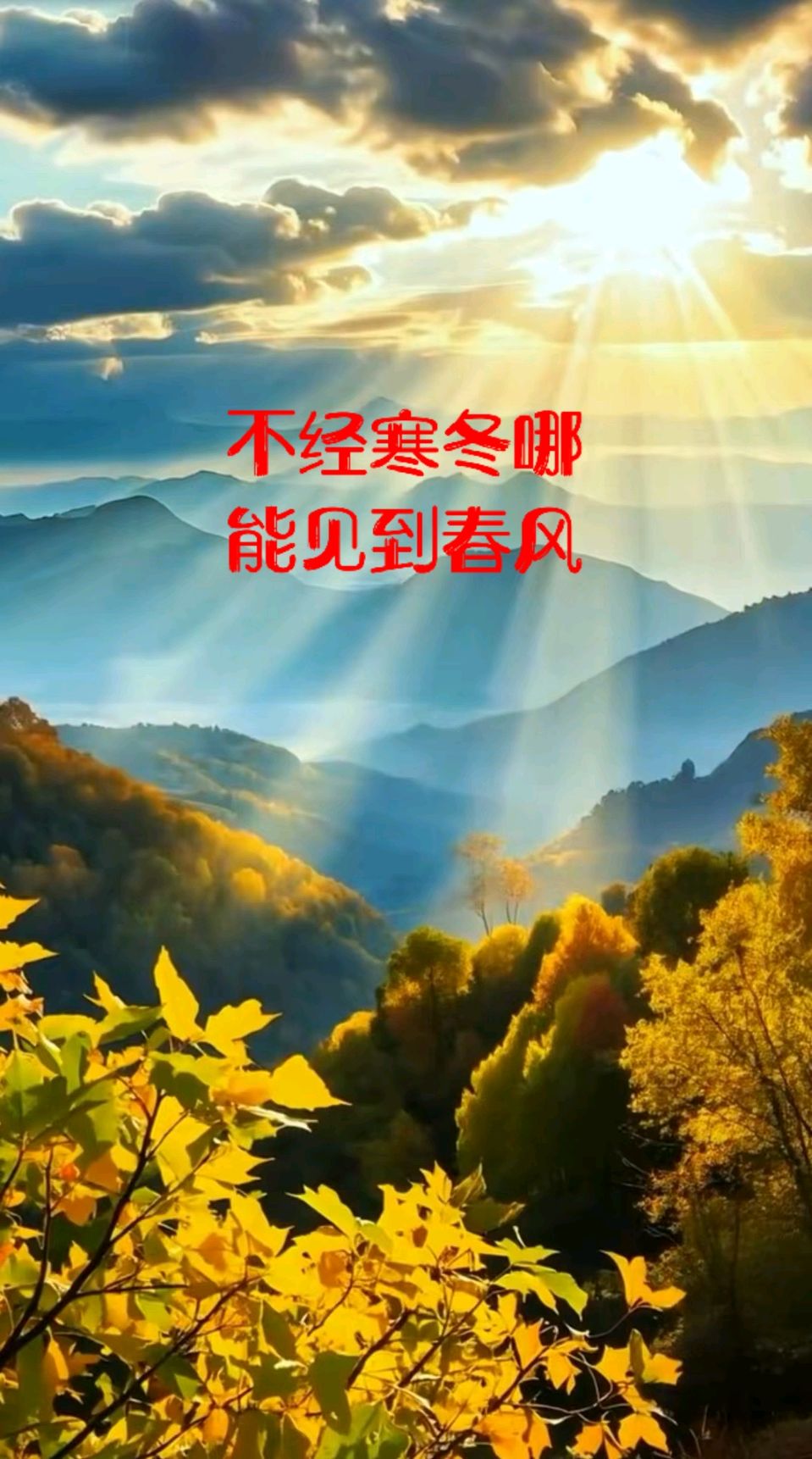 落叶～诗◑赵春阳（图12）