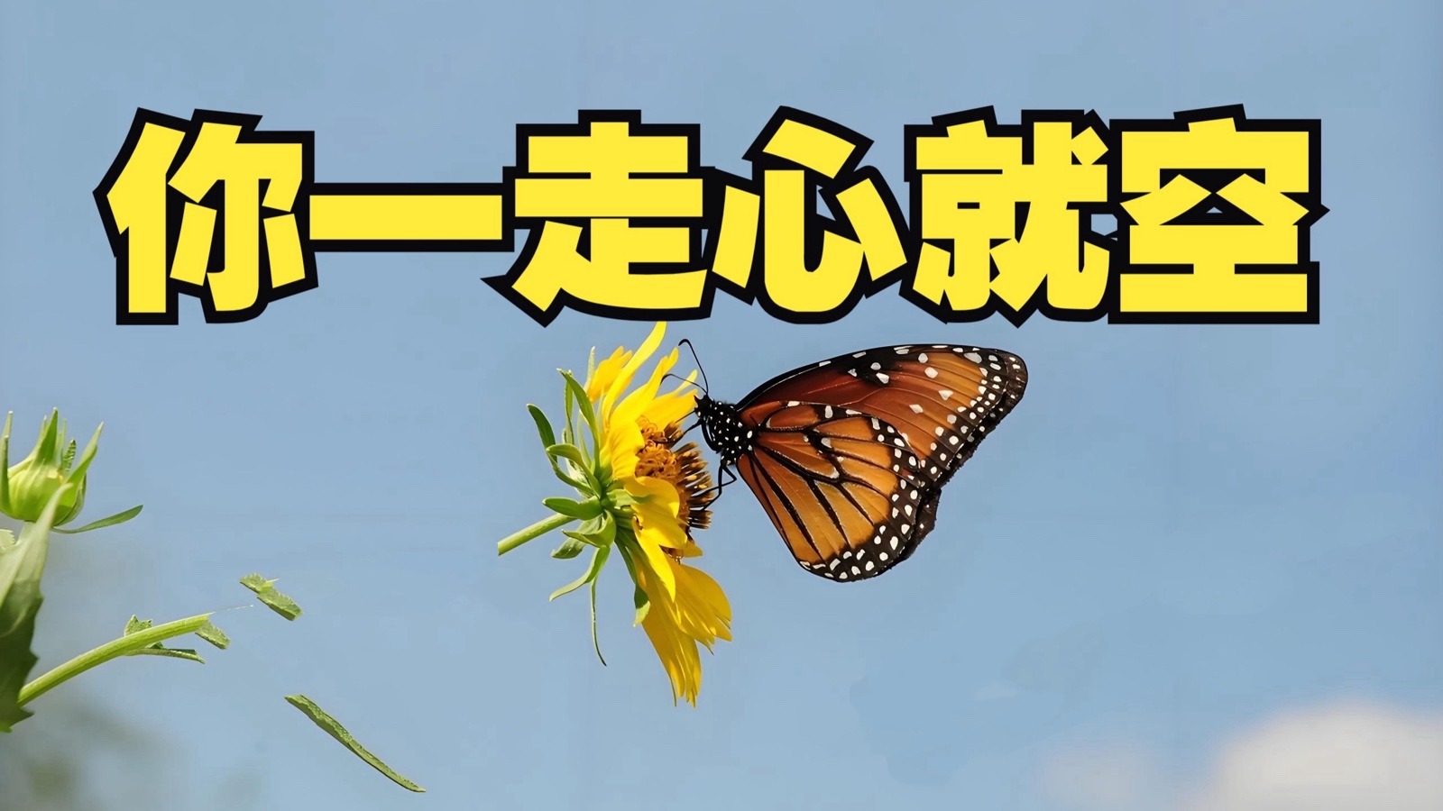 淡淡的茶香朗诵：《你一走心就空》作者||火凤凰（海外）海外头条（图5）